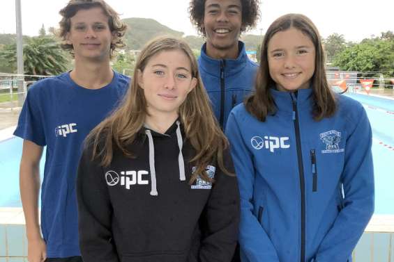 Natation : test grandeur nature pour les nageurs de l'Olympique