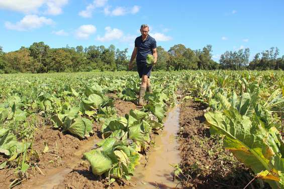 La province Sud dégage une enveloppe de 40 millions pour ses agriculteurs