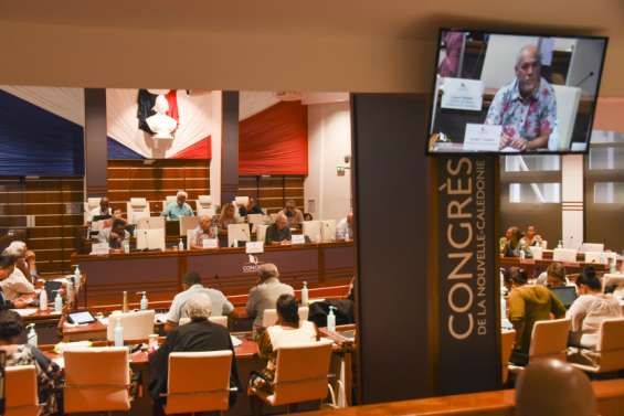 Le Rassemblement explique ses votes  au Congrès