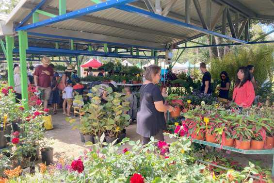 Dumbéa : 15 000 visiteurs attendus au 7e Salon nature et jardins