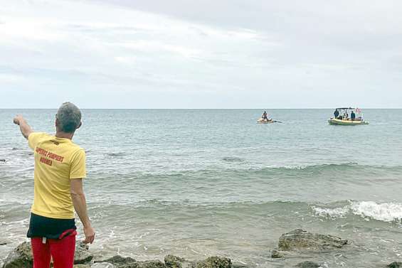 Nouméa : l'alerte au requin levée