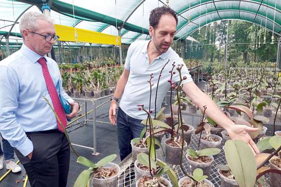 Pépinière La Tamoa : 