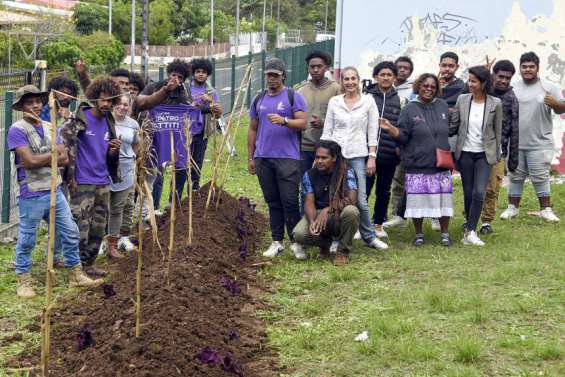 Un champ d'ignames pour promouvoir le développement durable au lycée Petro-Attiti