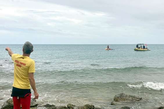 Nouméa : un requin proche du bord, la baignade interrompue
