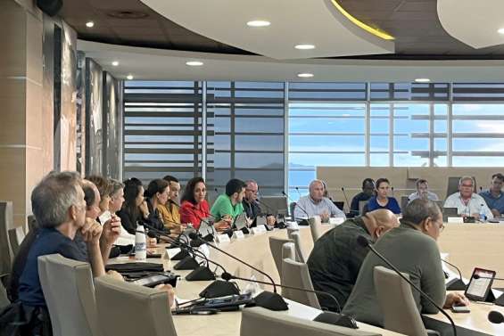 Dumbéa : le conseil municipal vote pour davantage de sécurité