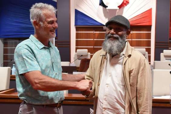 Comité consultatif de l'environnement : Washetine passe la main à Manauté