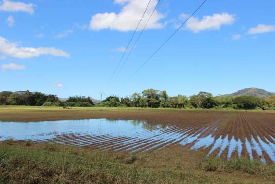 De nouvelles aides vont être débloquées pour les agriculteurs