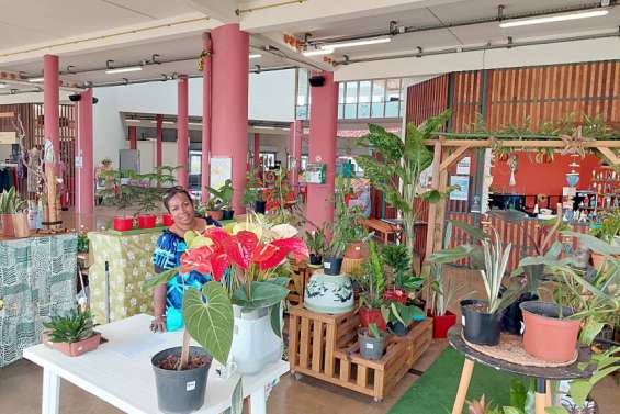 Mont-Dore : de l'énergie et des idées pour essayer de redynamiser le marché municipal