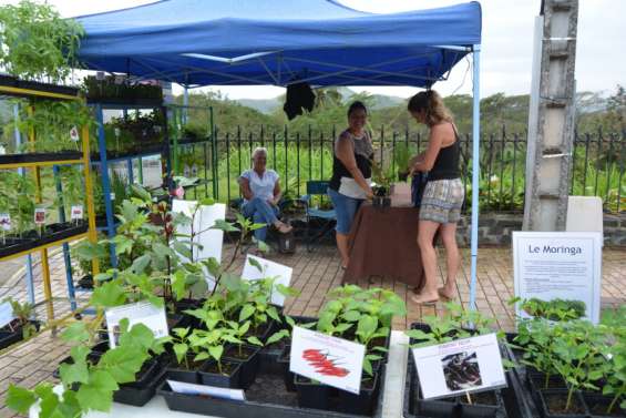 Potées passion, bientôt un rendez-vous régulier ?