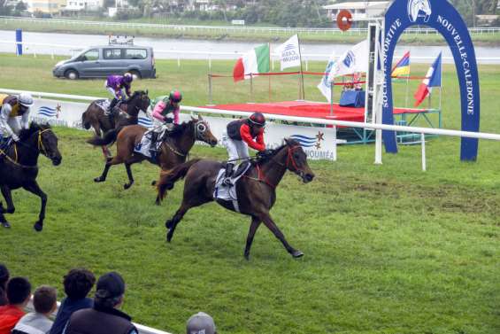 Omnisport : sur le Caillou, le week-end sera une nouvelle fois sportif