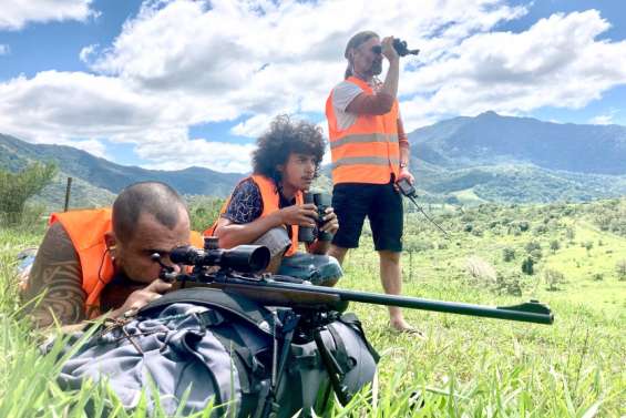 [GROS PLAN] La lutte contre les cerfs s'intensifie