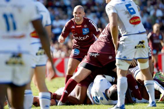 Rugby : dans l'ombre d'Antoine Dupont, les Bleus cherchent leur doublure