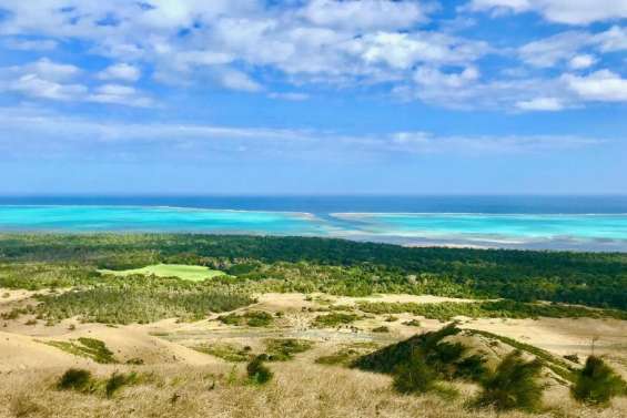 Plongeuse attaquée par un requin à Bourail : « on ne comprend pas ce qui a pu se passer »