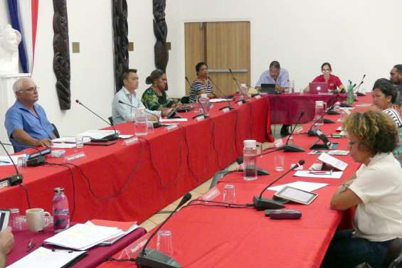 Mont-Dore : Quatorze caméras de vidéoprotection bientôt installées le long de Saint-Louis