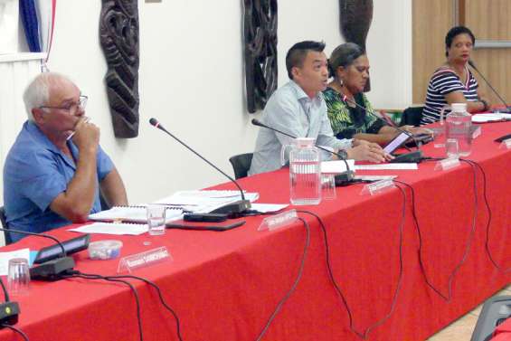 Mont-Dore : quatorze caméras pour renforcer la sécurité autour de Saint-Louis