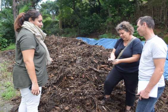 Du broyat mis à disposition des habitants mercredi