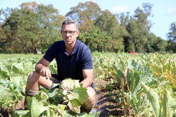 [GROS PLAN] Autonomie alimentaire : la production locale en recul