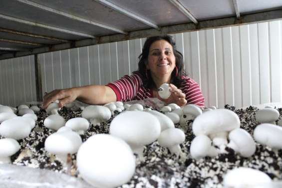 De jolis champignons de Paris made in Nouvelle-Calédonie