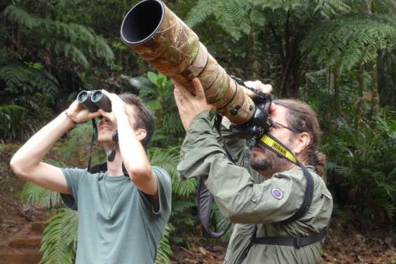 Les animations de la semaine à la Maison de la biodiversité