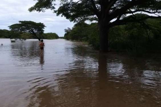Les pluies de ces derniers jours sont  une bonne nouvelle pour les éleveurs