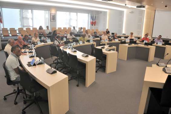 Mines : le CESE favorable à la taxe et à la redevance