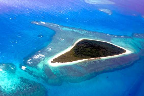 [VIDÉO] Les îlots passés à la loupe