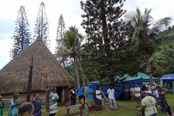 Un forum pour tenter de sauver les roussettes