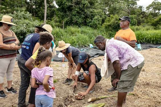 Tech & Bio, l'agriculture bio au centre de l'innovation
