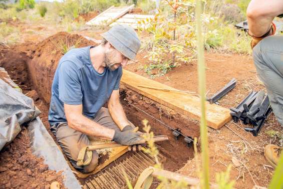 L’impact dans le sol d’un compost végétal chargé en métaux à l’étude