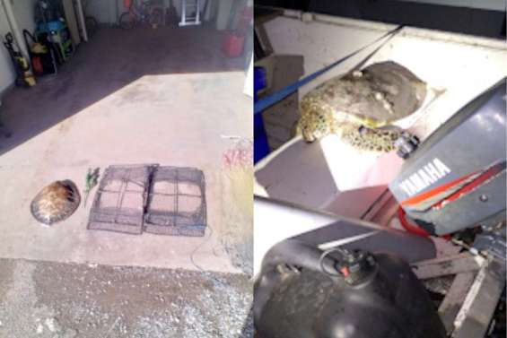 Résolution d'une affaire de braconnage à Poya 