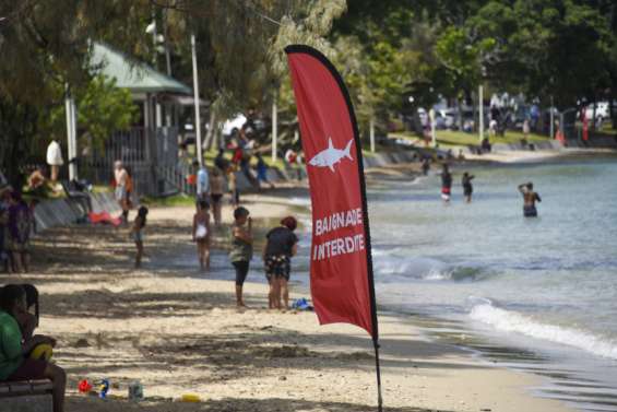 EPLP déplore les impacts du projet de barrière anti-requins