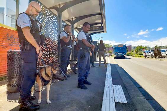 Sécurité renforcée dans les bus Carsud