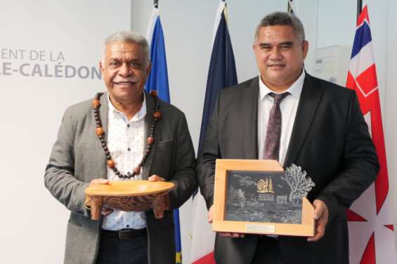 La Calédonie et Wallis travaillent sur une route digitale