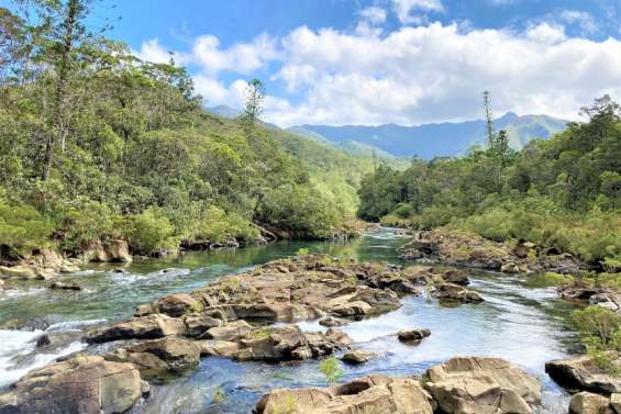 Une randonneuse néo-zélandaise meurt noyée à la rivière Bleue