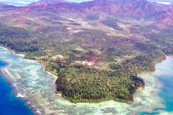 Un feu de forêt est en cours à Port-Boisé