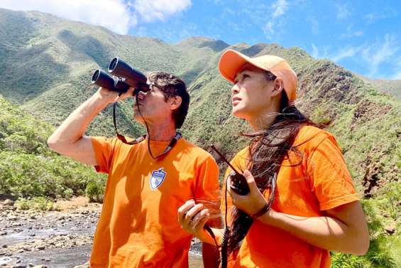 [VIDÉO] Qui sont les nouveaux gardiens de la forêt ?