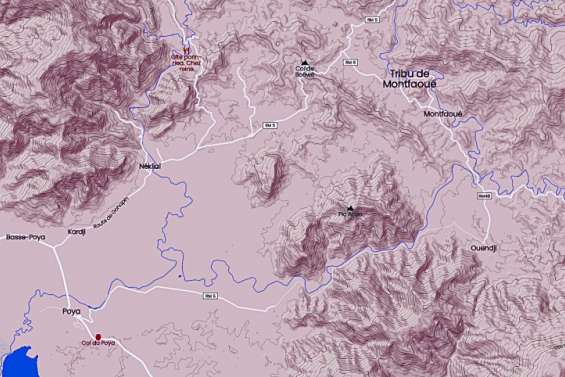 Un véhicule dans le ravin à Poya, un mort