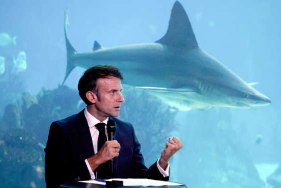 Exploitation des fonds marins : députés et ONG demandent un moratoire