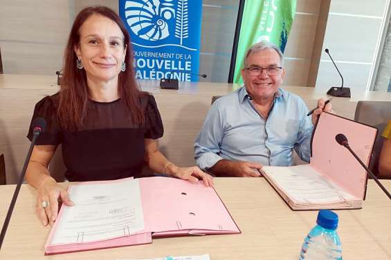 Dumbéa : une convention pour la stérilisation gratuite d'une centaine d'animaux