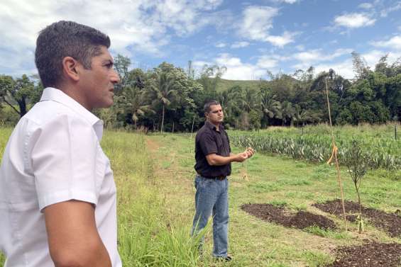 [Gros plan] Un prêt de 750 millions accordé à la filière bois