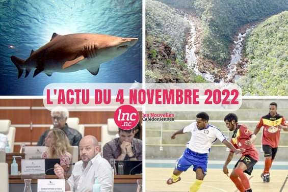 Le tour de l'actualité en Nouvelle-Calédonie du 4 novembre 2022