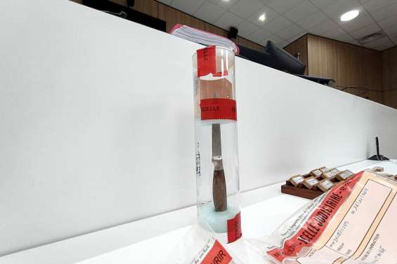 Assises : 20 ans de prison ferme pour avoir tué sa femme