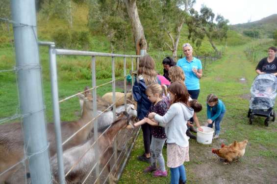 Le marché paysan célèbre sa 20e édition à Bourail ce samedi