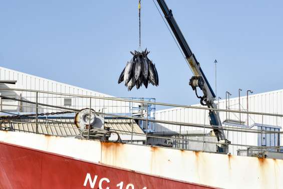 [GROS PLAN + INFOGRAPHIE] Assises de la pêche : deux jours pour convaincre