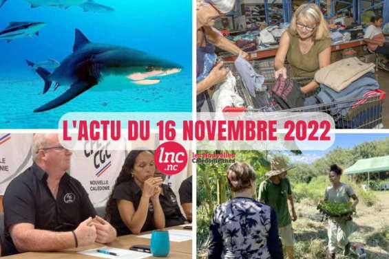 Le tour de l'actualité en Nouvelle-Calédonie du 16 novembre 2022