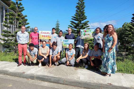 Dumbéa : la classe défense aux petits soins des forêts endémiques