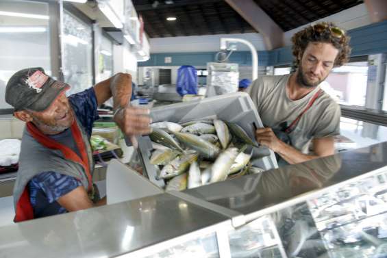 [GROS PLAN] Assises de la pêche : vers un 