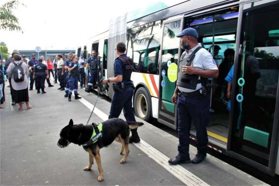 Opération anti-délinquance dans les bus à Nouméa