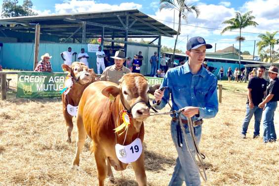 La Foire de Bourail relaxée dans l'affaire de maltraitance animale