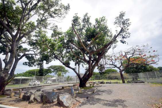 Nouméa : les nombreux projets des habitants des quartiers nord-est 